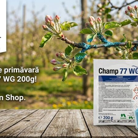 Champ77 WG 200gr